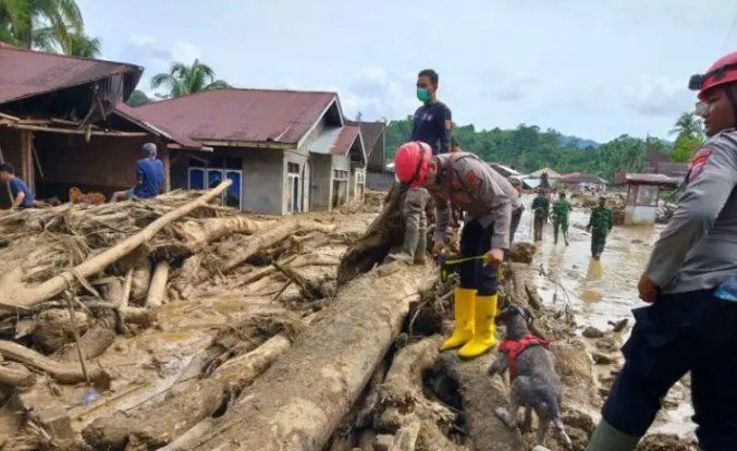 Bareskrim Polri Segera Umumkan Tersangka Pembalakan Liar di Tapanuli Selatan