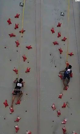 Persiapan Kejurprov, FPTI Jombang Gelar Kejurkab Speed Climbing 2025