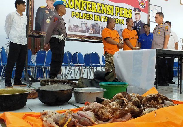 Daging Ayam Tiren Diuji Bidang Peternakan Blitar, Ini Hasilnya
