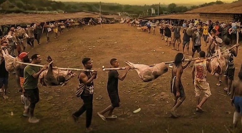 Kritik Film Papua Jadi Alarm Evaluasi Proyek Strategis
