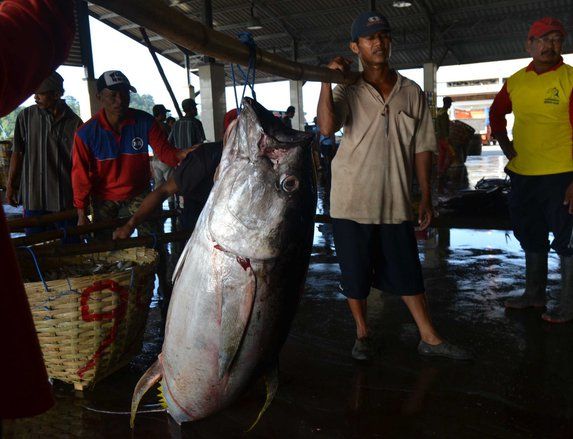 Kunjungi Trenggalek, Menteri Susi Sentil Nelayan Prigi