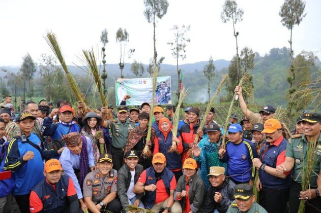 Cegah Banjir dan Tanah Longsor, Pemkab Madiun akan Tanam Akar Wangi