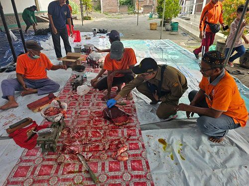 Disperta Kabupaten Probolinggo Periksa Hewan Kurban sebelum dan sesudah Disembelih
