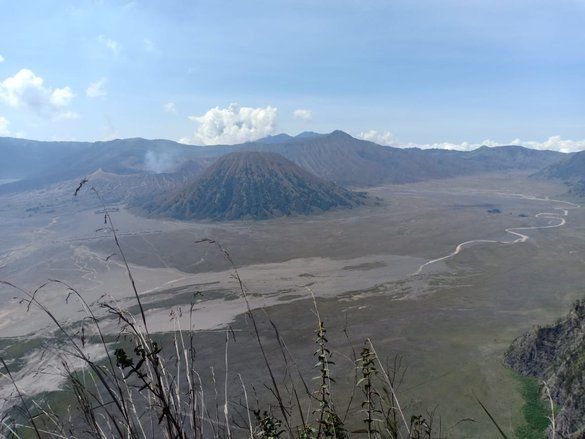 Pelaku Wisata Usul Larangan Kendaraan Bermotor di Bromo Tak Sebulan