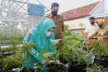 Tingkatkan Ketahanan Pangan, Wali Kota Probolinggo Buka Pelatihan P2L