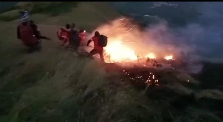 15 Hektare Area Gunung Bekel Trawas Terbakar, Pos Pendakian Ditutup Sementara