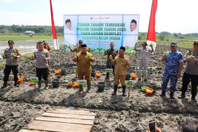 Abah Warsubi Sosialisasi Tanam Tembakau, Petani Jombang Terima Pupuk hingga Program Rumah Layak Huni