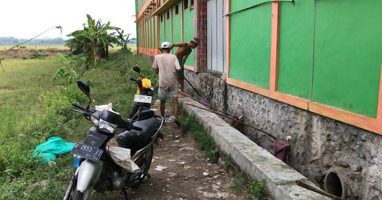 Warga Berebut Sisa Nasi dari Limbah Dapur Pondok di Mojokerto untuk Pakan Ternak