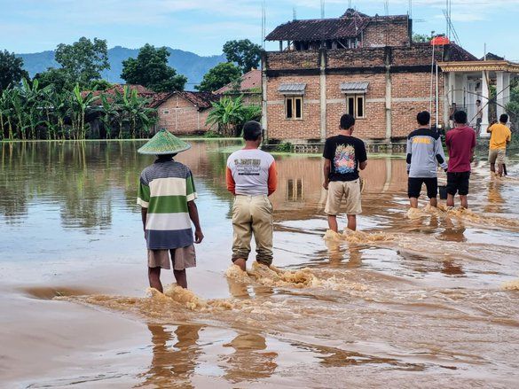 Puluhan Hektare Sawah di Ponorogo Terendam Banjir, Padi Terancam Gagal Panen