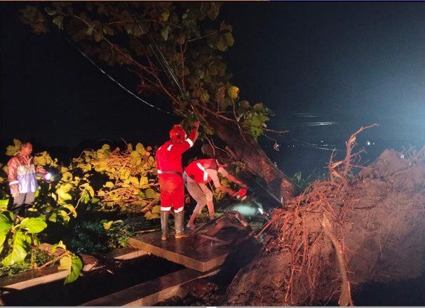 Seorang Warga Tertimpa Pohon Tumbang di Jombang