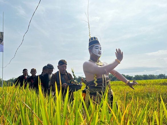 Melihat Methik Pari di Ponorogo, Warisan Budaya yang Sarat Nilai Filosofis