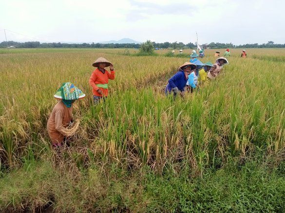 Musim Kemarau, Wilayah Empat Kecamatan di Madiun Rawan Kekeringan