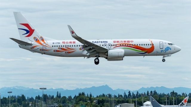 Penyebab Jatuhnya Pesawat di Cina Masih Diselidiki