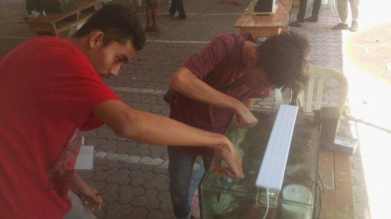 Pelajar Banyuwangi Sanggup Beli <em>Smartphone</em> dari Hobi Desain Aquaspace