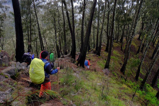 Pemkab Probolinggo Bangun Jalan Setapak ke Argpuro