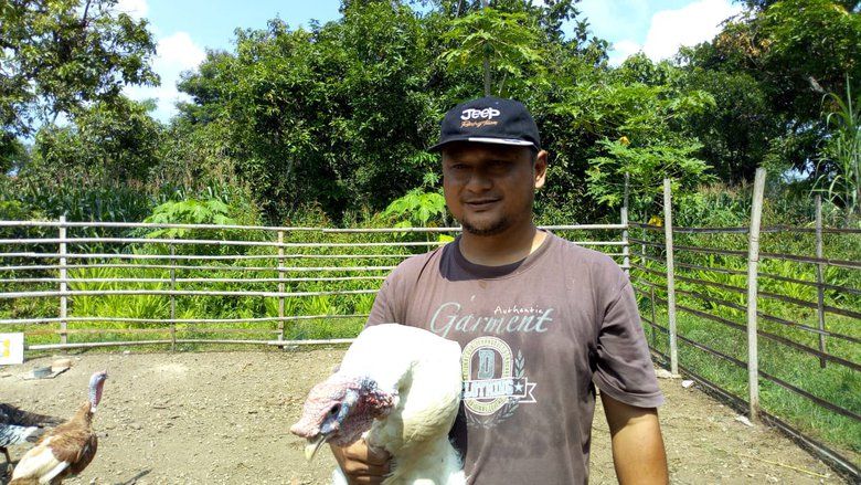 Lembutnya Bakso Kalkun yang Menyehatkan