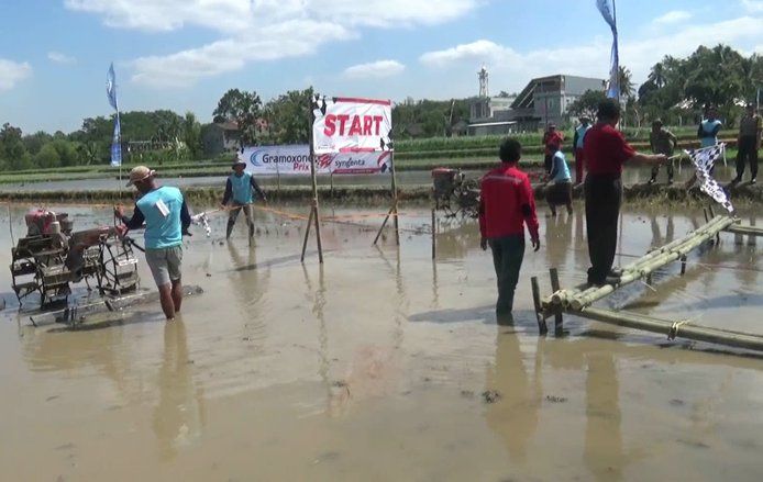 Peringati HUT RI, Petani Blitar Ikuti Lomba Balap Traktor di Sawah
