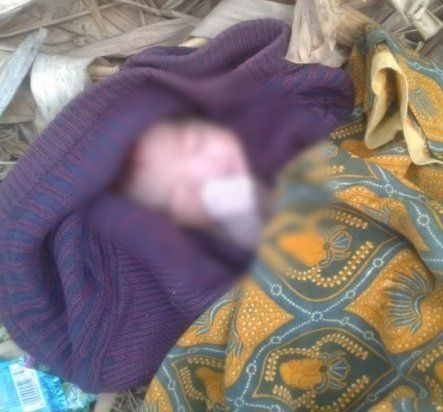 Bayi Malang Dibuang di Kebun Pisang