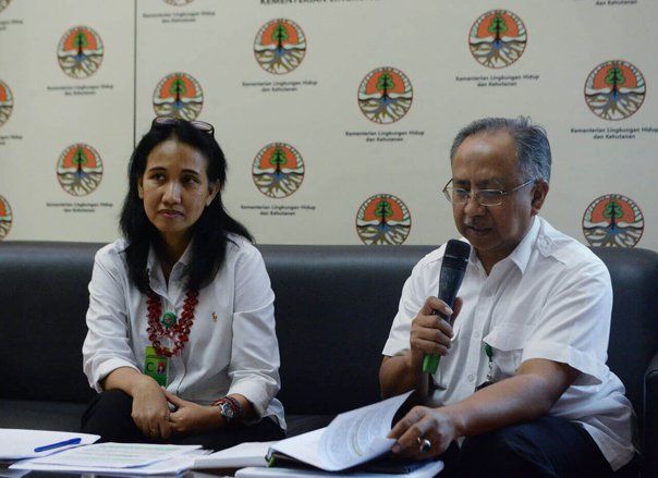 Dunia Internasional Apresiasi Penurunan Angka Deforestasi di Indonesia