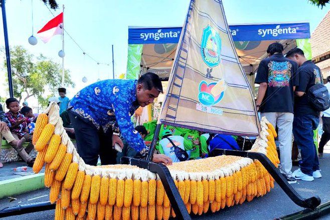 Tingkatkan Kesejahteraan Petani, Pemkab Situbondo Siapkan Bibit Jagung Unggul