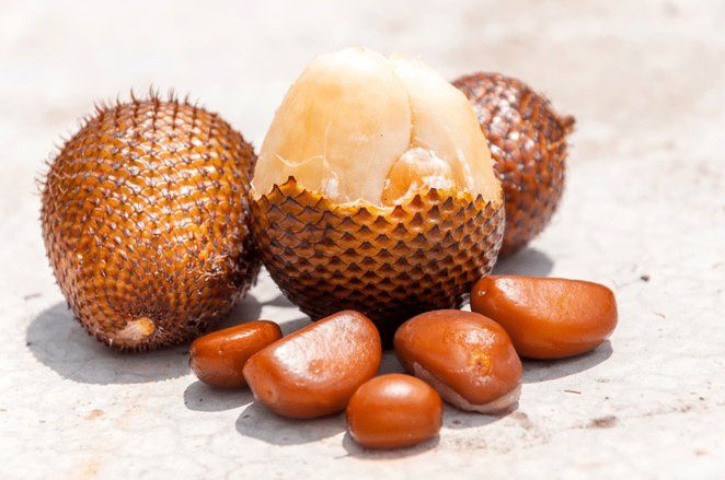 Mahasiswa UB Kembangkan Biji Buah Salak untuk Bahan Kosmetik