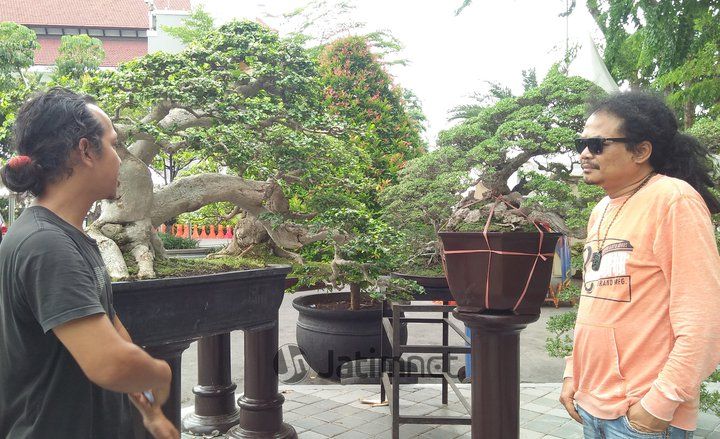 Cara Rubi Memperkenalkan Bonsai di Surabaya