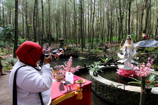 Ketenangan Beribadah Lintas Agama di Hutan Pinus