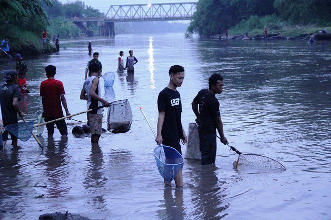 Bendungan Sampean Baru Dikuras, Ribuan Warga Padati Sungai Cari Ikan 
