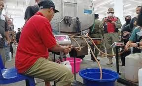 Minyak Goreng Curah Langka, Pemkab Madiun Siapkan Dana Talangan