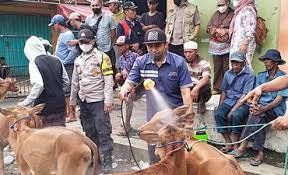 Tangani PMK, Kementan Realokasi Anggaran Rp 180,78 Miliar