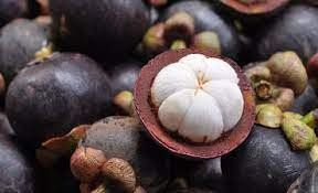 Jatim Jajaki Potensi Ekpor Buah Manggis ke Australia