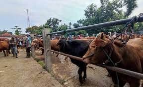 Berikut Isi SE Pedoman Pelaksanaan Kurban di Surabaya