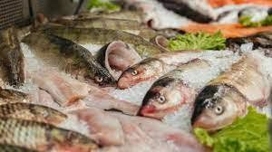 Rajin Memakan Ikan, Salah Satu Cara Mencegah Stunting