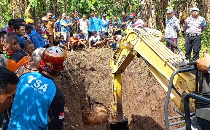 Sapi Warga Dlanggu Terjebur ke Sumur, Evakuasi Berlangsung Empat Jam