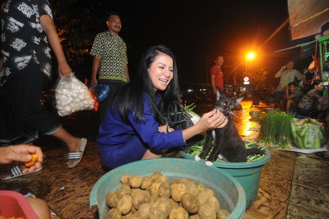 Five Vi Elus-elus Kucing di Pasar Keputran