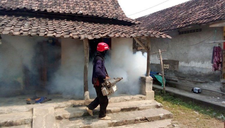 Serangan DBD di Kabupaten Mojokerto Meluas