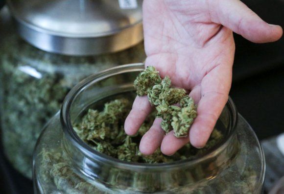 Legalisasi Ganja Medis di AS Justru Timbul Kepanikan