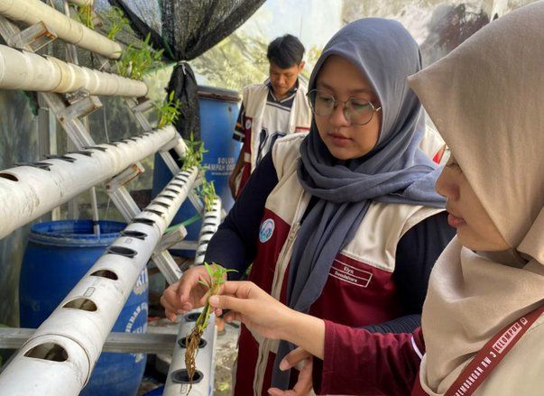 Tak Sekadar Menanam, Warga Krembangan Diajak Olah Hasil Hidroponik