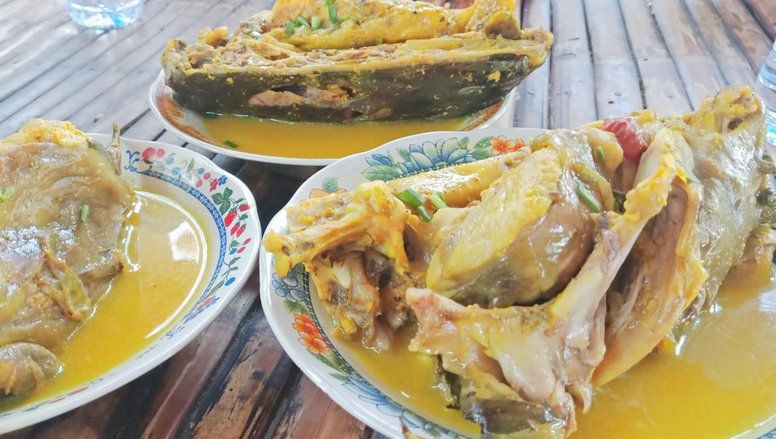 Menikmati Kelan Kuning Sembilang di Tepi Tambak Gresik