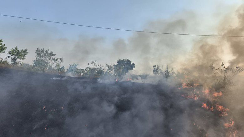 Ilalang Kering Ancam Perjalanan KA Saat Kemarau