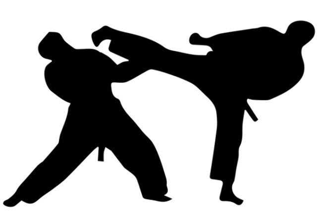 Oknum Lima Pesilat PSHT Diduga Keroyok Pesilat Putri Pagar Nusa