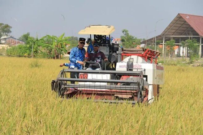 Panen Raya di Balik Jeruji, Lapas Lamongan Buktikan Pembinaan Berdaya Guna
