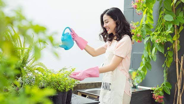 Tips Mudah Merawat Tanaman Hias di Rumah