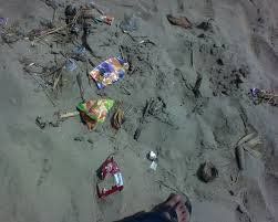 Gandeng Sejumlah Pihak, KKP Kumpulkan 1,4 Ton Sampah di Pantai Teleng Ria Pacitan