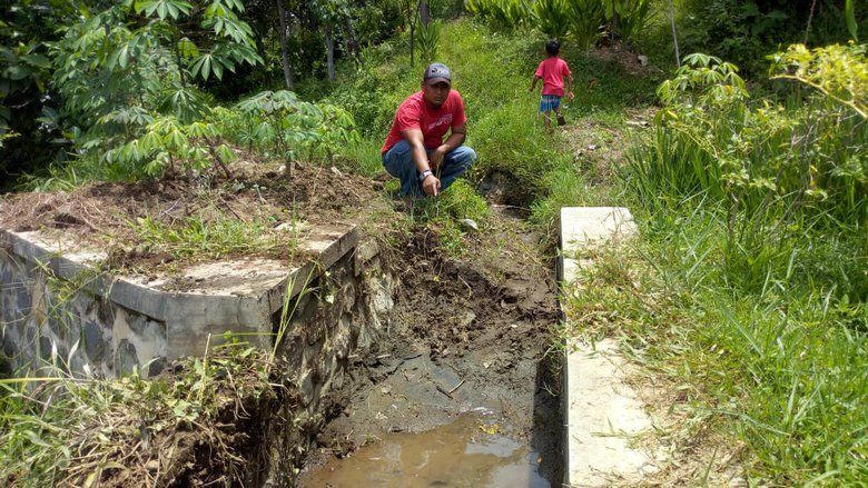 Puluhan Hektar Sawah Tercemar akibat Pencucian Pasir