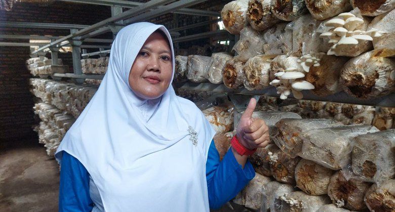Budidaya Jamur Tiram, Warga Probolinggo Raup Omzet Rp45 Juta per Bulan