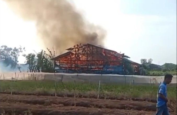 Kebakaran Kandang Ayam di Probolinggo, Kerugian Ratusan Juta