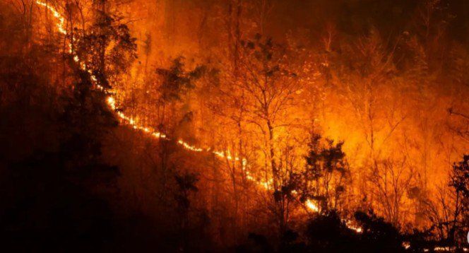 El Nino Mengeringkan Lahan, Siapa Menyalakan Api?