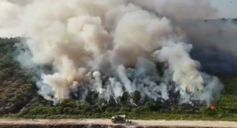 Asap Kalimantan Tutup 591 Sekolah di Sarawak
