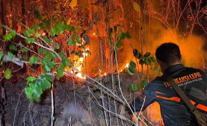 Pemadaman Api di Gunung Butak Ngawi Terkendala Pohon yang Rawan Tumbang